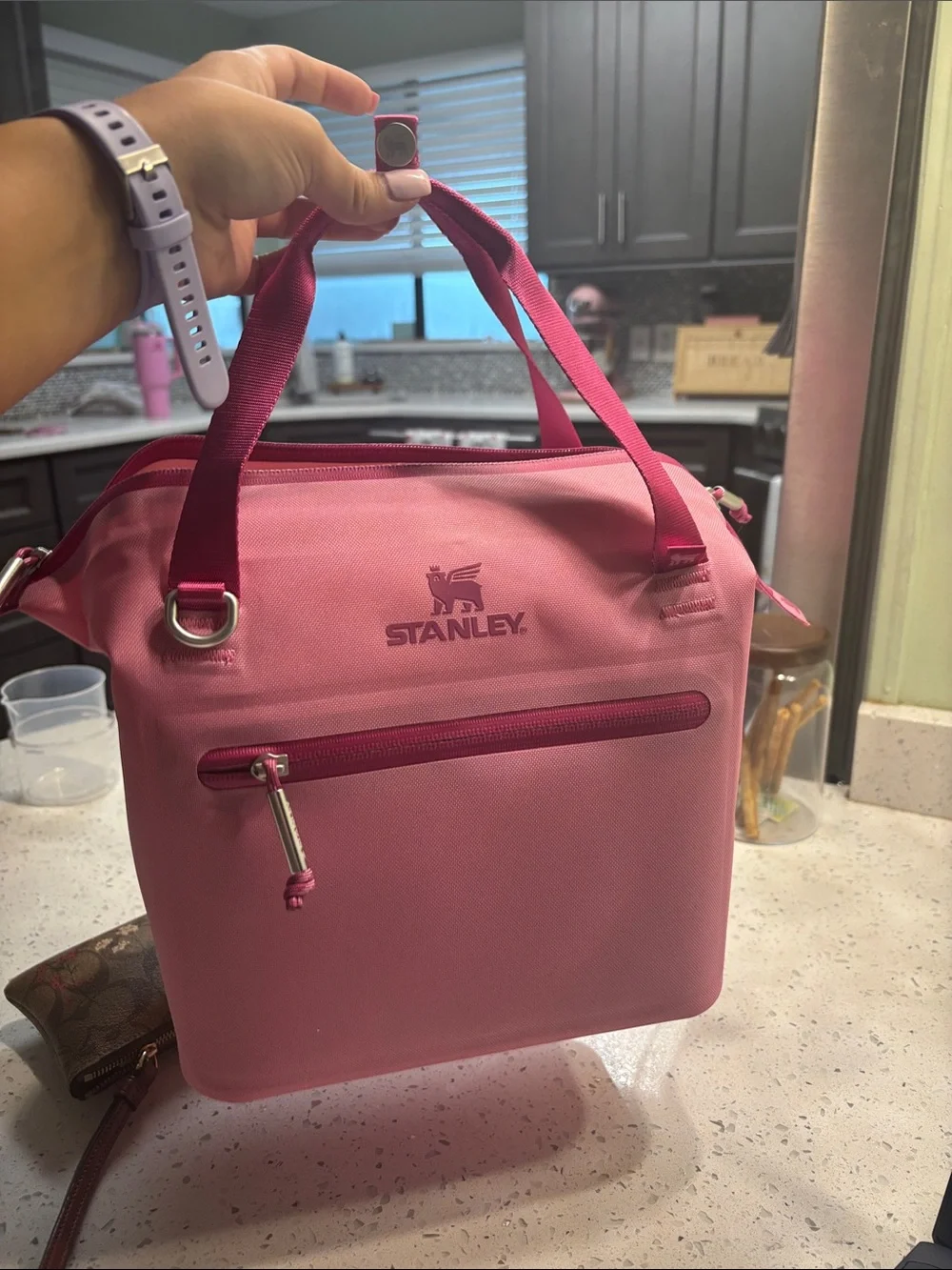 Stanley All Day Julienne Mini Cooler Pink Crossbody Lunch Bag